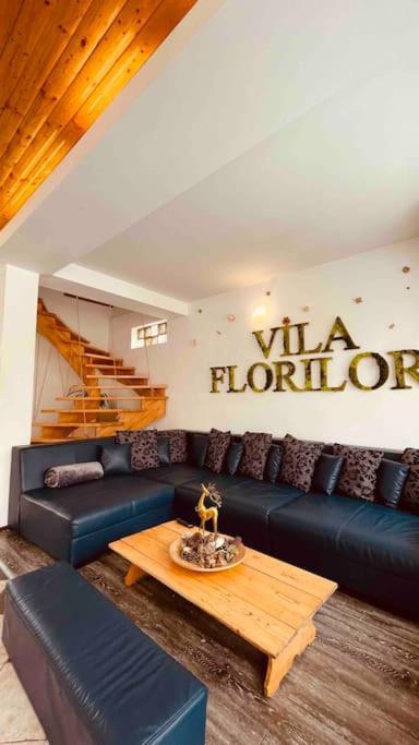 Vila Florilor Buşteni Екстериор снимка